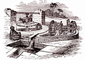 Irrigation system in Egypt, 19th century