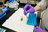 Laboratory tests on food supplements
