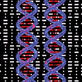 Genetics and Morse code, conceptual image