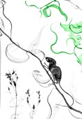 Mouse in a willow tree, X-ray