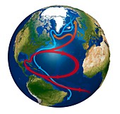 Atlantic Ocean currents, illustration