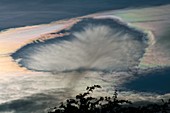 Fallstreak hole in altocumulus clouds