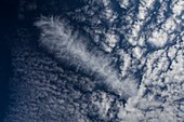 Fallstreak hole in altocumulus clouds