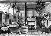 Leather tanning industry, 19th century