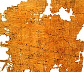 Artemidorus papyrus