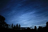 Noctilucent clouds over trees