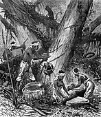 Rubber industry in Malaysia, 19th century