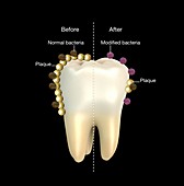 Genetic modification of dental bacteria, illustration