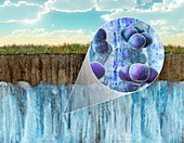 Ice extremophiles, illustration
