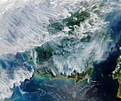 Smoke from Indonesian fires, satellite image