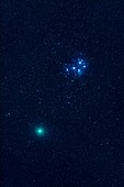 Comet 46P Wirtanen and the Pleiades star cluster