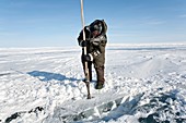 Inuit man hunting seals