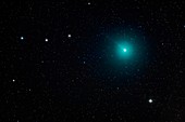 Comet 46P Wirtanen, December 2018