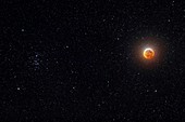 Eclipsed Moon beside the Beehive constellation