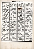 Number fingerspelling, 15th century