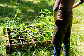 Woman gardening