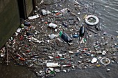 Plastic pollution in River Thames, London, UK