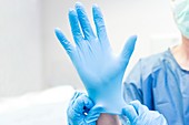 Putting glove on surgeon