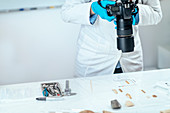 Archaeology researchers documenting artefacts