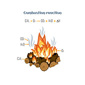 Combustion reaction, illustration