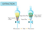 Extraction of organic compound experiment, illustration