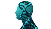 Human genome, conceptual illustration