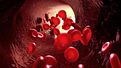 Red blood cells, illustration