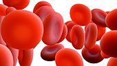 Red blood cells, illustration