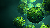 Measles virus, illustration