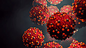Measles virus, illustration