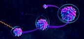 Types of ionising radiation, illustration