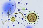 Artificial neurons, conceptual illustration
