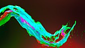 Colourful liquid wave, illustration