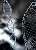 DNA strand, illustration