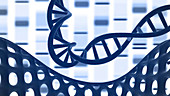 Genetic research, conceptual illustration