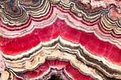 Polished rhodochrosite slab