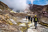 Whakaari volcano tour group,New Zealand