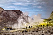 Whakaari volcano tour group,New Zealand