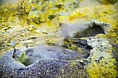 Whakaari volcano sulphur deposits,New Zealand