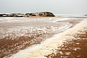 Sea foam during gale force winds