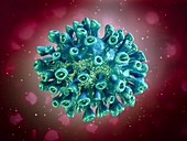 Coronavirus particle,illustration