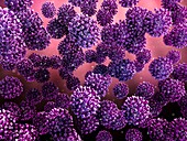 Coronavirus particles,illustration