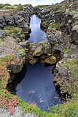Water-filled crevice near Thingvellir,Iceland