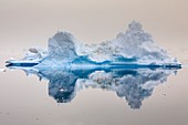 Small iceberg in Nordvestfjord,Greenland