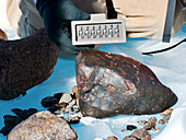 Meteorite discovered in Antarctica