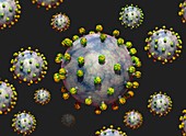 Coronavirus particles,illustration
