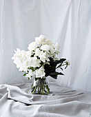 White roses and green leaves in glass vase