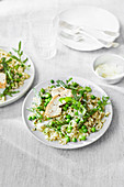 Pea, broad bean and rocket risotto with chicken