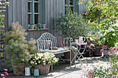 Sommerterrasse mit Perückenstrauch, Petunie Beautical 'French Vanilla', Olivenbaum, Stammrose und Strauchhortensie 'Annabelle'