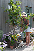 Frau gießt Birnbaum, Korb mit Hängegeranie und Kürbispflanze, Sellerie im Tontopf, Hund Zula